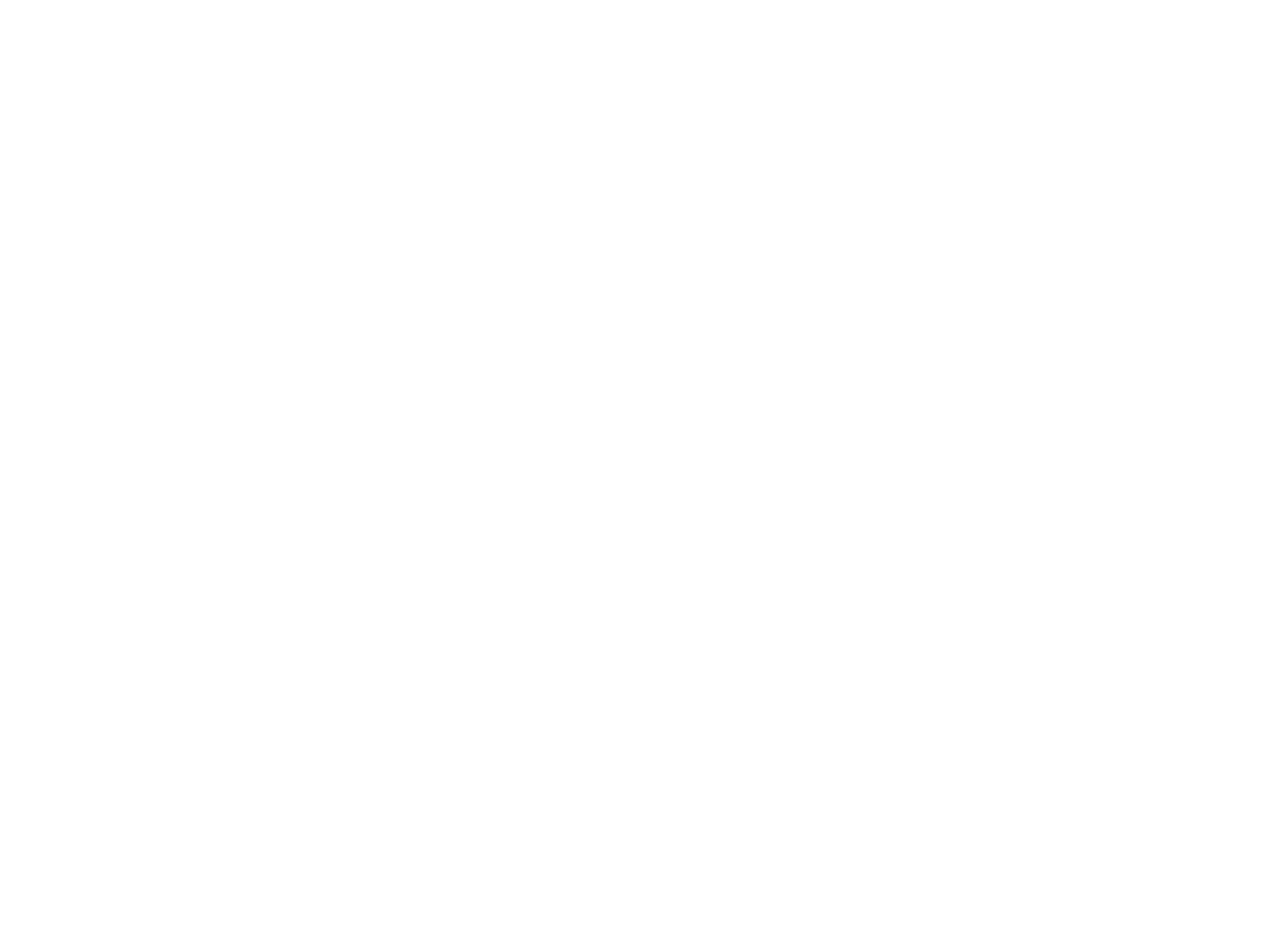 burmese-image